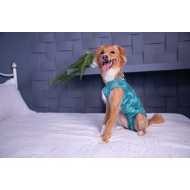 Îmbrăcăminte de Protecție „Dry Light Supreme Dog” Verde Mărimea 6 (8 – 10 kg) UV 50 plus, Antimicrobiană, Dry